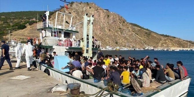 231 düzensiz göçmen ve 2 göçmen kaçakçısı şüphelisi yakalandı
