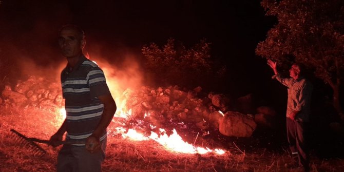 Orman yangınının ortasında kalan kaplumbağaya jandarma eli