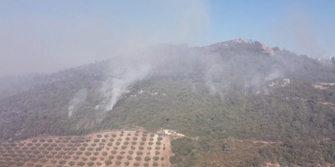 Osmaniye'deki orman yangınında 2'nci gün; havadan müdahale yeniden başladı
