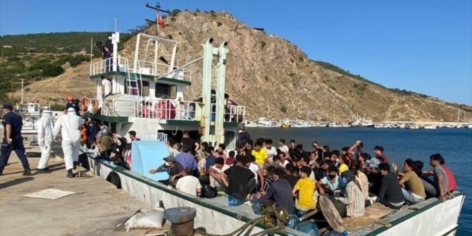 231 düzensiz göçmen ve 2 göçmen kaçakçısı şüphelisi yakalandı