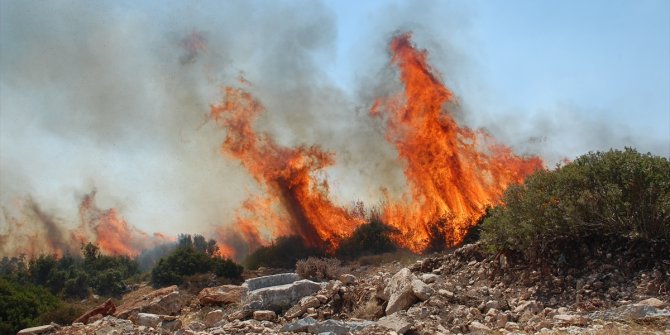 Didim'de makilik alanda çıkan yangın kontrol altına alındı