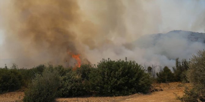 Adana Yüreğir'de makilik ve ormanlık alanda çıkan yangın kontrol altına alındı
