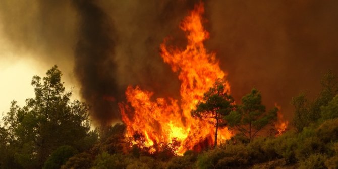 Salur ve Avasun alevler altında