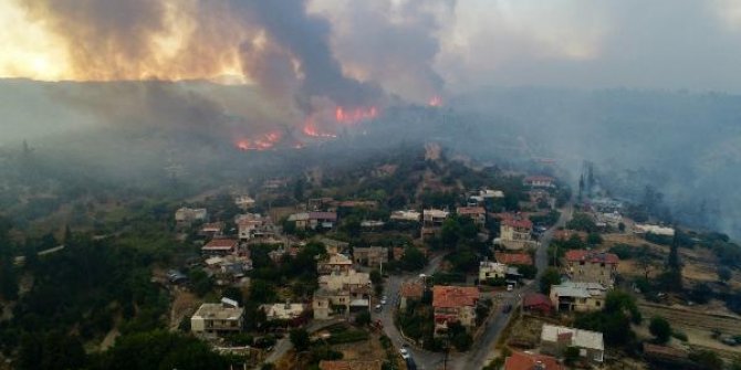 Bağcılar’dan Manavgat’a 20 bin adet fidan bağışı