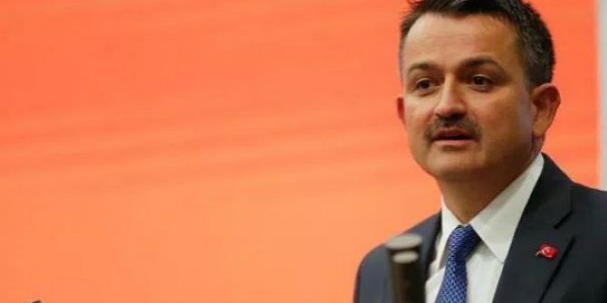 Bakan Pakdemirli: Hatay Kırıkhan yangını kontrol altına alındı