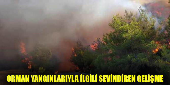 Orman yangınlarıyla ilgili sevindiren gelişme