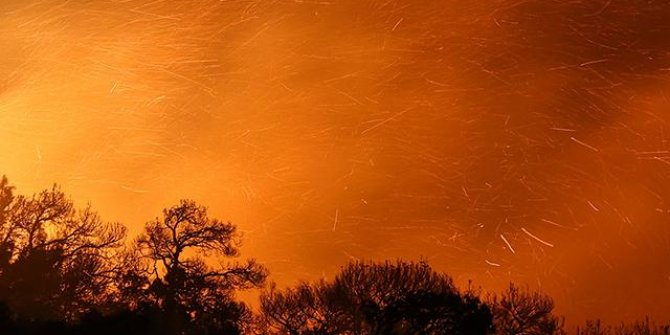 Rusya'dan yangınlarla mücadeleye destek: 11 hava aracı gönderecek