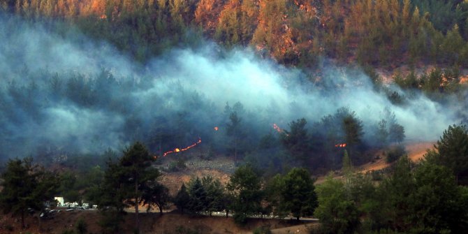 Adana'nın 4 ilçesindeki yangınlar 72 saatte söndürüldü
