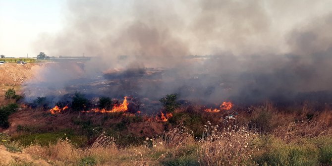 Otluk alanda çıkan yangın büyümeden söndürüldü