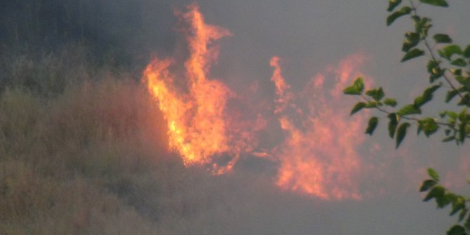 Adıyaman'da deredeki anız yangını söndürüldü