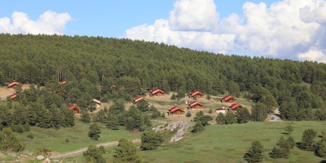 Erzincan’da ormanlık alanlara girişler 15 Eylül’e kadar yasaklandı