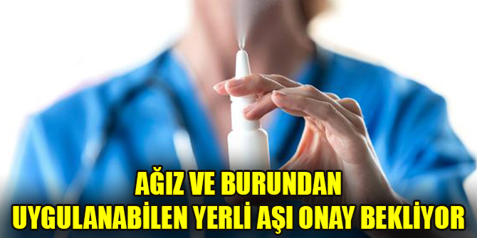 Ağız ve burundan uygulanabilen yerli aşı onay bekliyor