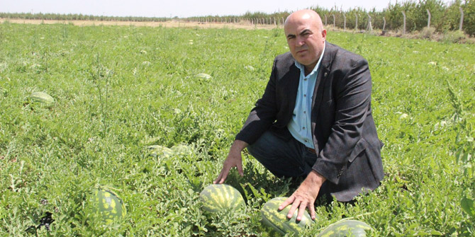 Karaman’ın karpuzu İstanbul’da sofralarda