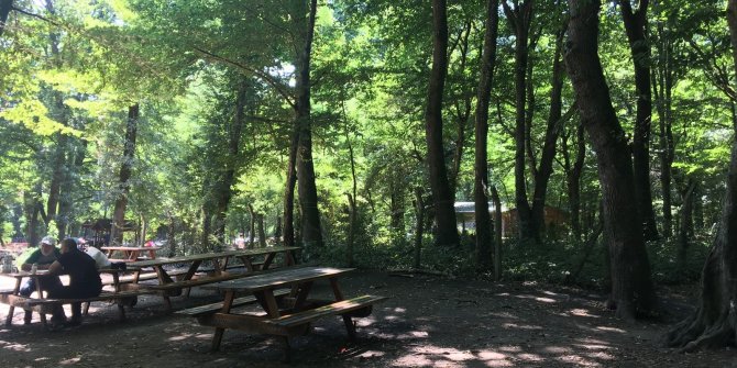 Belgrad Ormanı adeta ıssızlığa büründü