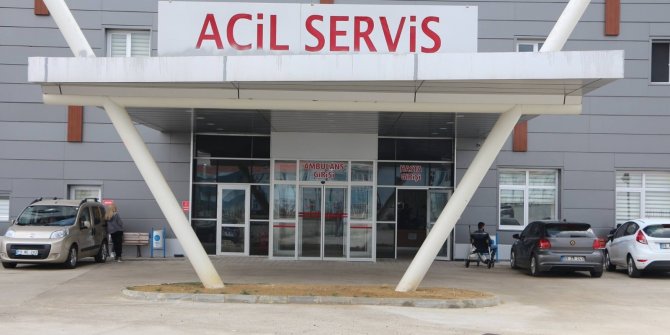 Dananın darbesi ile hastanelik oldu