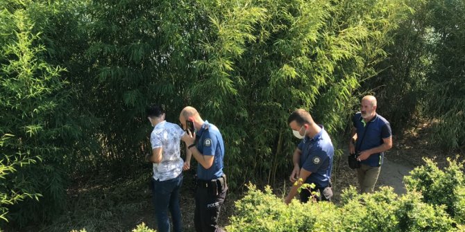 Sazlık yangınında görgü tanıklarının iddiası polisi harekete geçirdi