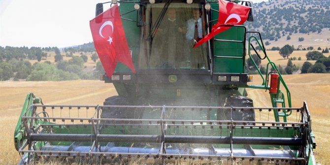 Arpa hasadı başladı