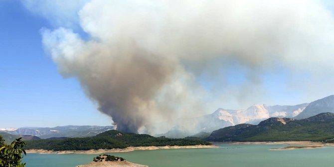 Isparta'da orman yangını