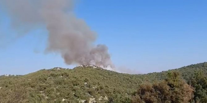 Demre’deki orman yangını söndürüldü