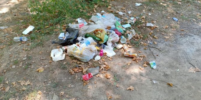 Ormandaki cam şişeleri topladılar