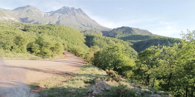 Aksaray’da ormanlara girişler 2 ay yasaklandı