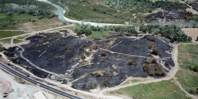 Nallıhan Kuş Cenneti sazlığındaki yangına kuş neden olmuş