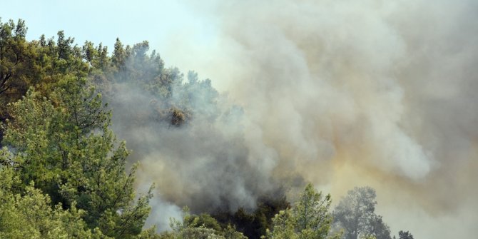 Dalaman’daki yangın kontrol altında