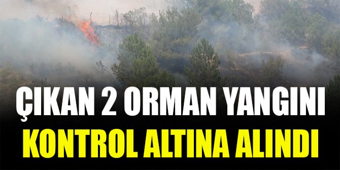 Çıkan 2 orman yangını kontrol altına alındı