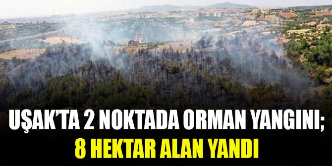 Uşak'ta 2 noktada orman yangını; 8 hektar alan yandı
