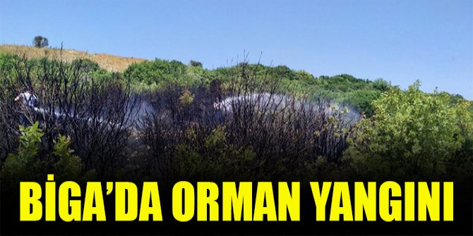 Biga’da orman yangını