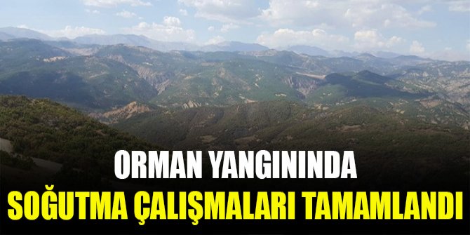 Orman yangınında soğutma çalışmaları tamamlandı