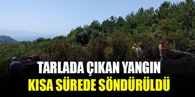 Tarlada çıkan yangın kısa sürede söndürüldü