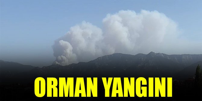 Orman yangını