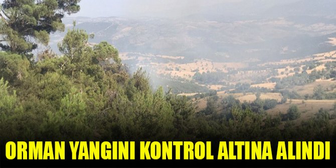 Orman yangını kontrol altına alındı