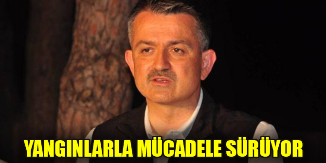 Yangınlarla mücadele sürüyor