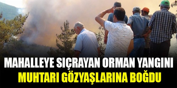 Mahalleye sıçrayan orman yangını muhtarı gözyaşlarına boğdu