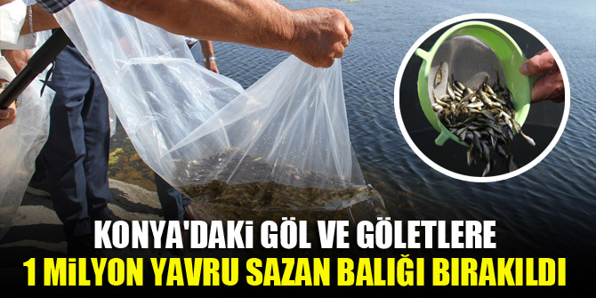 Konya'daki göl ve göletlere 1 milyon yavru sazan balığı bırakıldı