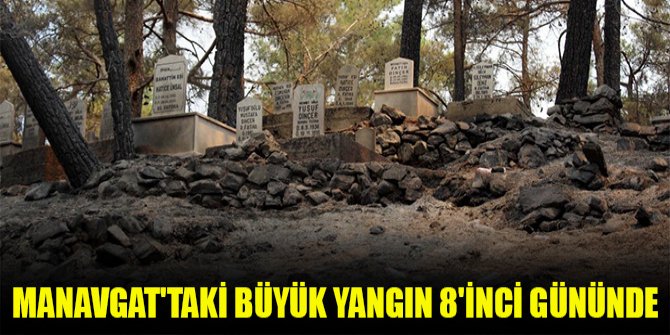 Manavgat'taki büyük yangın 8'inci gününde