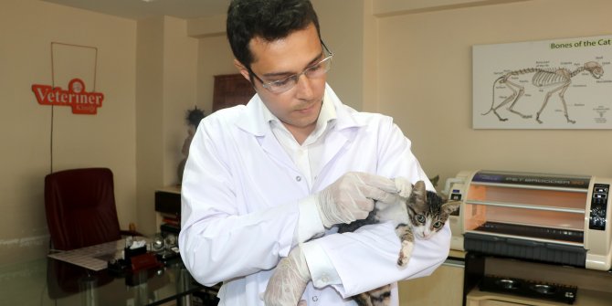 'Alevlerde kalan hayvanlara soğuk su müdahalesi şok etkisi yapıyor'