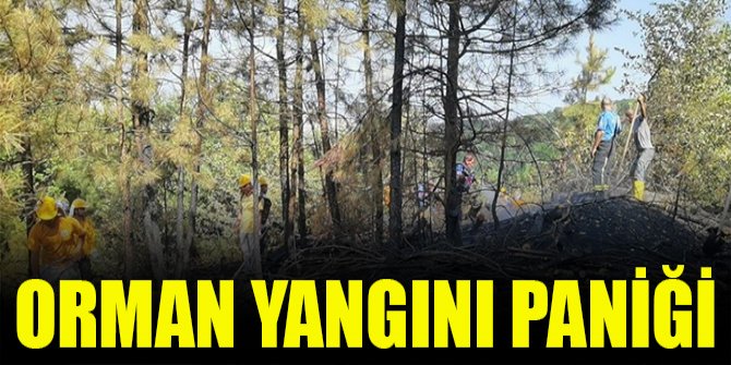 Orman yangını paniği