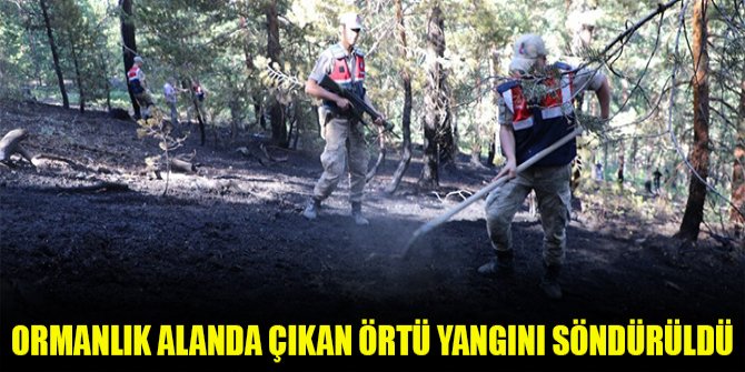 Ormanlık alanda çıkan örtü yangını söndürüldü