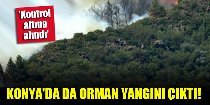 Konya'da da orman yangını çıktı!