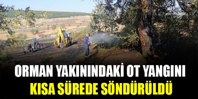 Orman yakınındaki ot yangını kısa sürede söndürüldü