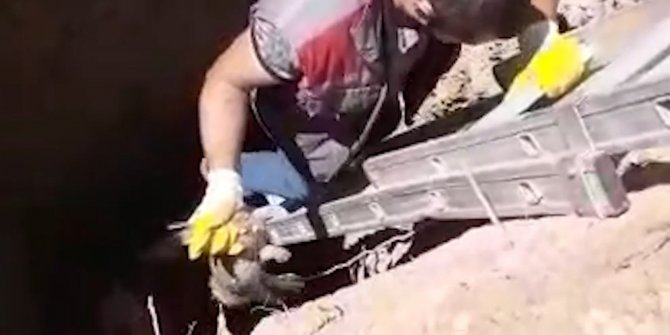 Definecilerin açtığı 14 metrelik çukura düşen tavşanı itfaiye kurtardı