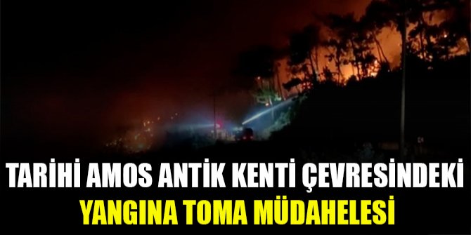 Tarihi Amos Antik Kenti çevresindeki yangına TOMA müdahelesi