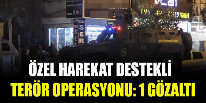 Özel harekat destekli terör operasyonu: 1 gözaltı