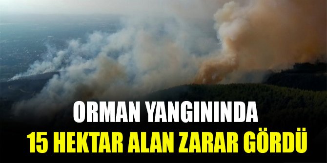 Orman yangınında 15 hektar alan zarar gördü