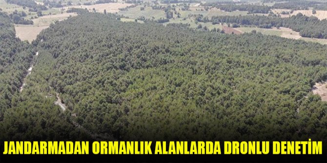 Jandarmadan ormanlık alanlarda dronlu denetim