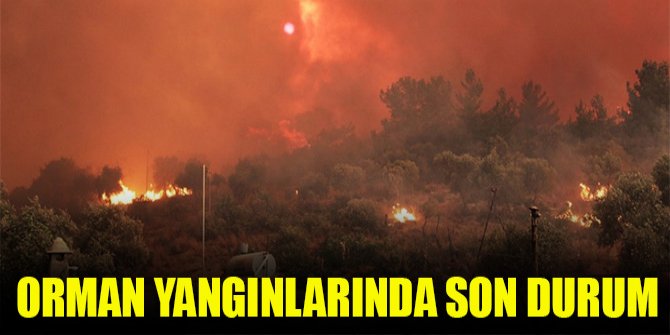 Orman yangınlarında son durum