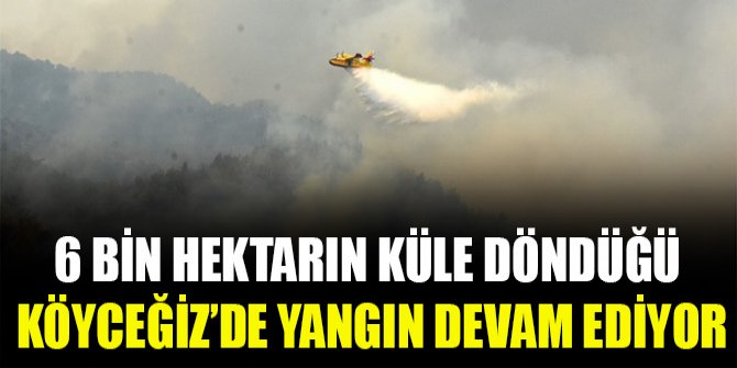 6 bin hektarın küle döndüğü Köyceğiz’de yangın devam ediyor